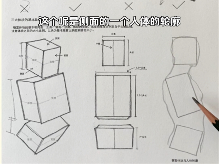 还在纠结人体比例？三大体块让你一眼看出真相！