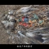 【海洋终极杀手】一年2000万吨的垃圾，从陆地涌向海洋，