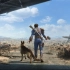 【Fallout 4】辐射4 开场CG 简中&繁中字幕