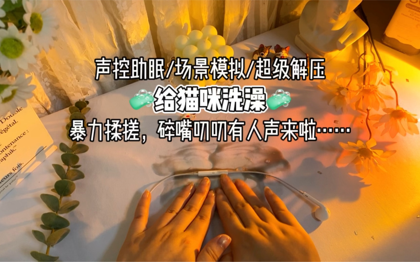 声控助眠场景模拟给小猫咪洗澡澡碎碎叨叨有人声版本来啦