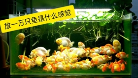 5c8f8bdcb24c4a08d4da2a200d3745320329f8fb.jpg@280w_158h_1c_100q.jpg
