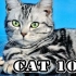 猫咪101 第四季（完结）