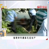 中年女子惨死林间，尸体被玩弄的程度令警方不寒而栗