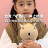 台湾“小当归”冲上热搜 网友纷纷邀请她来家乡做客 “祖国各地都欢迎你