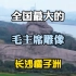 全中国最大的毛主席雕像—湖南长沙橘子洲