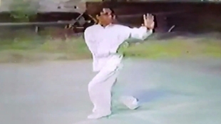 什么是武术的内容 5ce630abbddf1cb2af277cc0e4c58ccd8f0aef2f.jpg@310w_174h_1c_100q.jpg