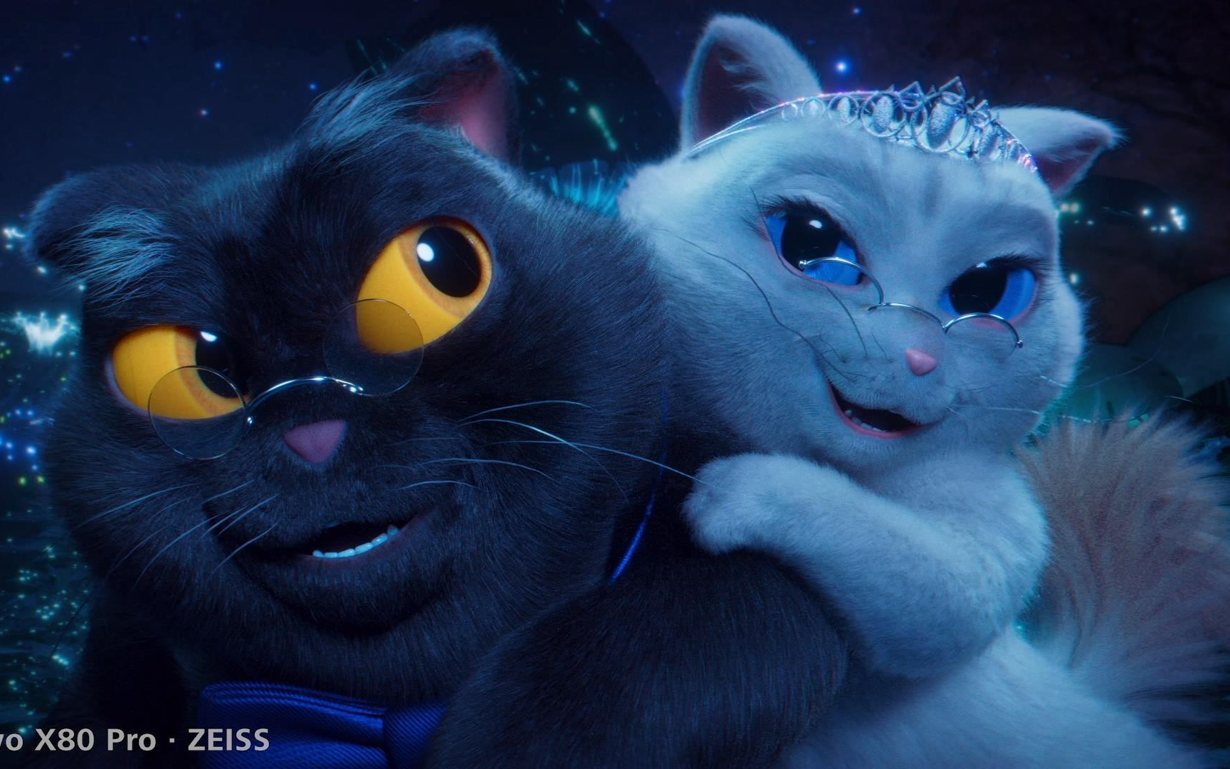 一只黑猫的烦恼，这是我2022年看过最可爱的猫片了