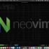 【Neovim】我为什么使用neovim以及对neovim一些插件的简单介绍与展示.