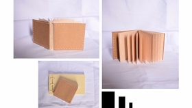 5d12b4eaa4b236ea98826b421fb4e7e0fea1980b.jpg@280w_158h_1c_100q.jpg