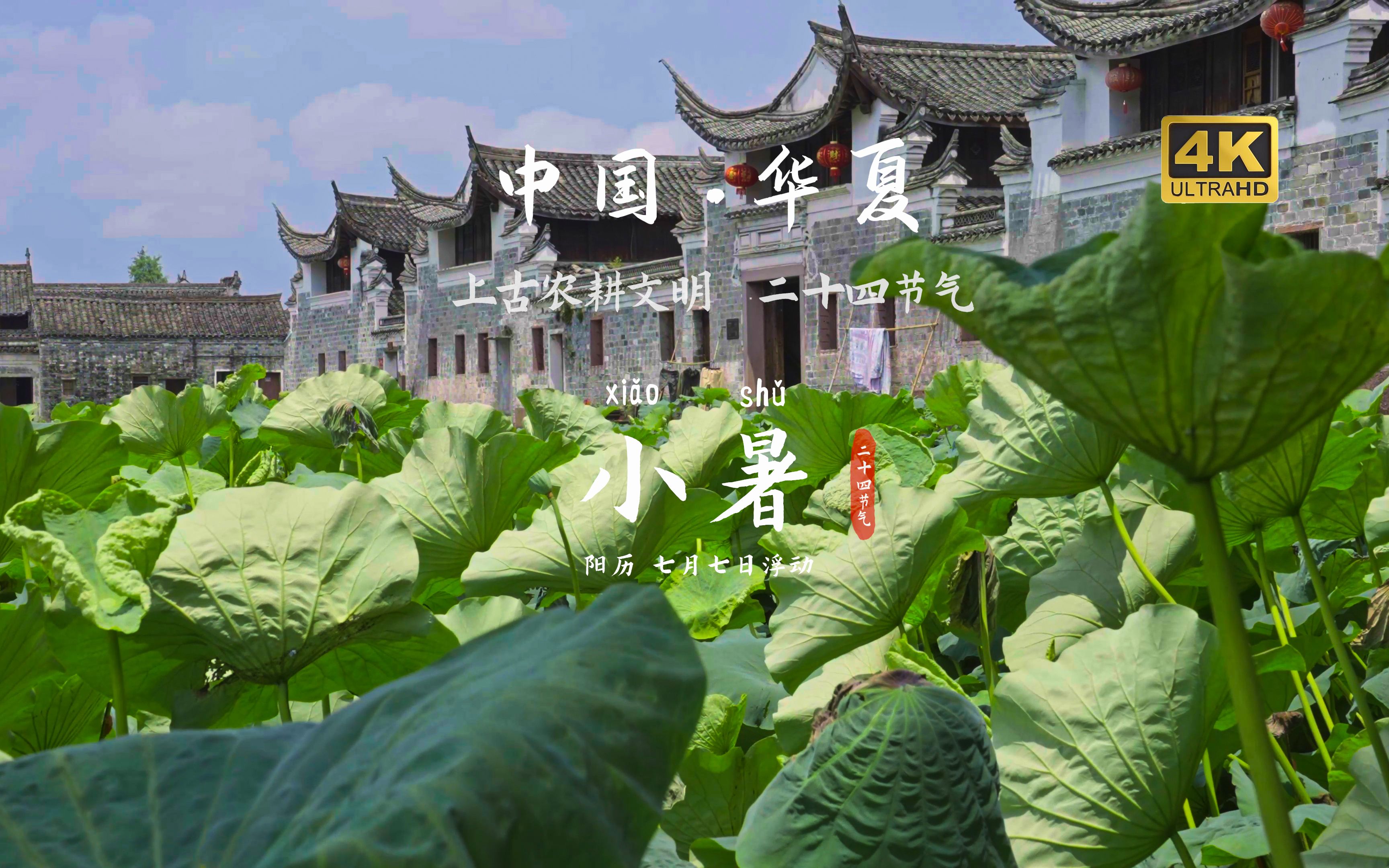 小暑【4K】 · 我把24节气拍成了“连续剧”~