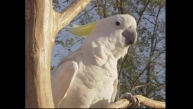 5d3716834ecdcd0b1c1ceafd211b812fdeda8579.jpg@280w_158h_1c_100q.jpg
