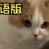 奇奇怪怪的猫猫，但是日语