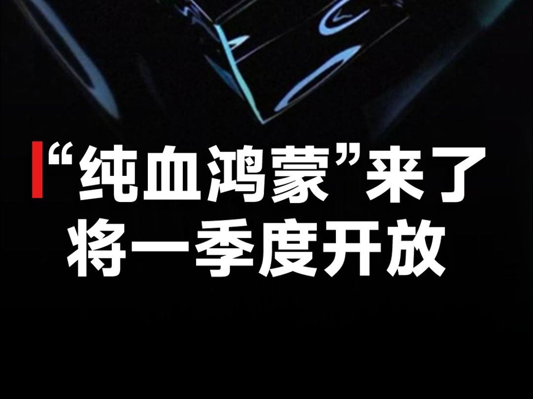 鸿蒙原生,启动!HarmonyOS NEXT将于一季度开放,不再兼容安卓应用哔哩哔哩bilibili