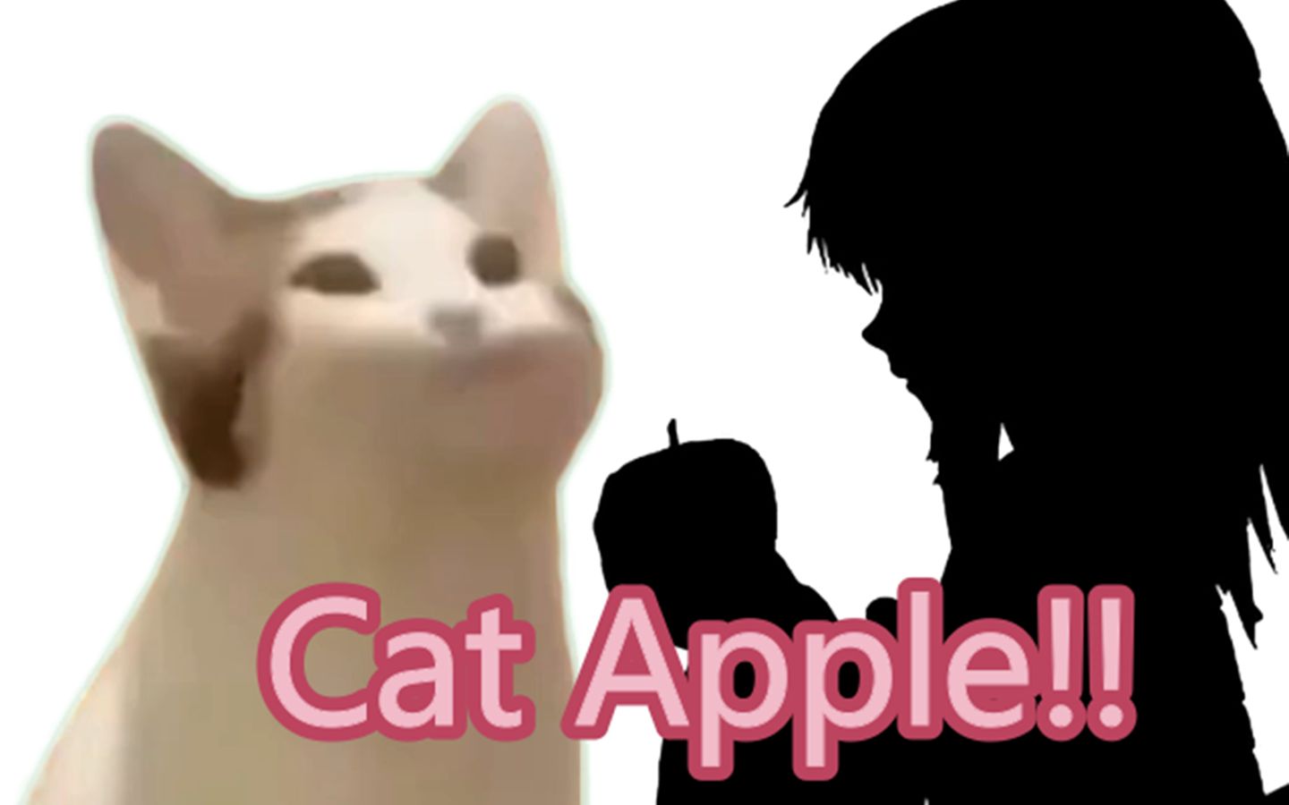 catapplepopo猫军团演绎badapple