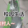 在学校被欺负了要不要反抗