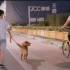 【两男一狗】没有套路的遛狗视频·VLOG·EP126