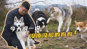 5d6face45119aaa95c63770fcc91f81b54a4e8ad.jpg@280w_158h_1c_100q.jpg