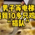 男子等电梯遇到10多只鸡 “插队”