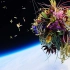 艺术家自制气球，把鲜花送上外太空