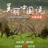 首部8K纪录片《美丽中国说》之《沙洲奇缘》[4K HDR]