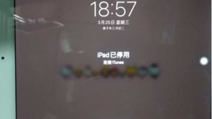 5d86fd660df39e15f2f7adfd94e2e95920609724.jpg@310w_174h_1c_100q.jpg