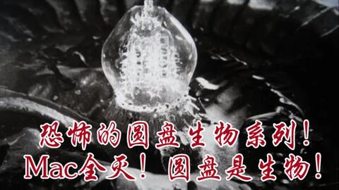 5d90f816e9121ddaf94f1986de2d971021cae707.jpg@480w_270h_1c