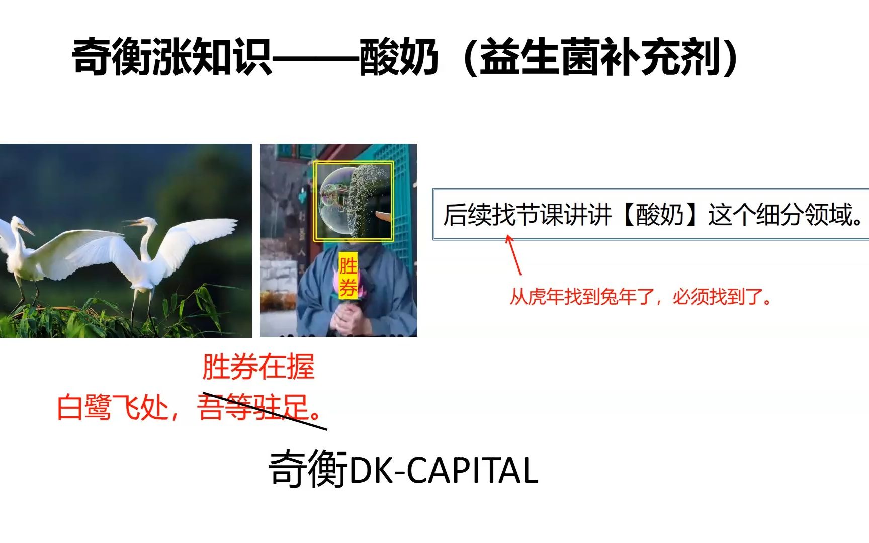 237 益生菌补充剂了解一下，我说的是酸奶