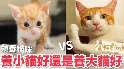 5db31540fbd3cfe379f81e7548213b438c4f9787.jpg@480w_270h_1c