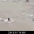 郑州720特大暴雨影像，4小时下了一年的雨，生死瞬间令人泪目！