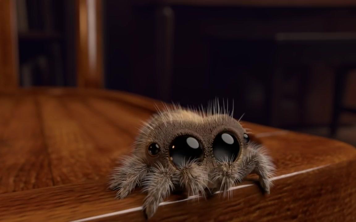 小蜘蛛卢卡斯 B站