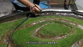 5dd7d623a43697dde8d5079996ad972b490b0c8d.jpg@280w_158h_1c_100q.jpg