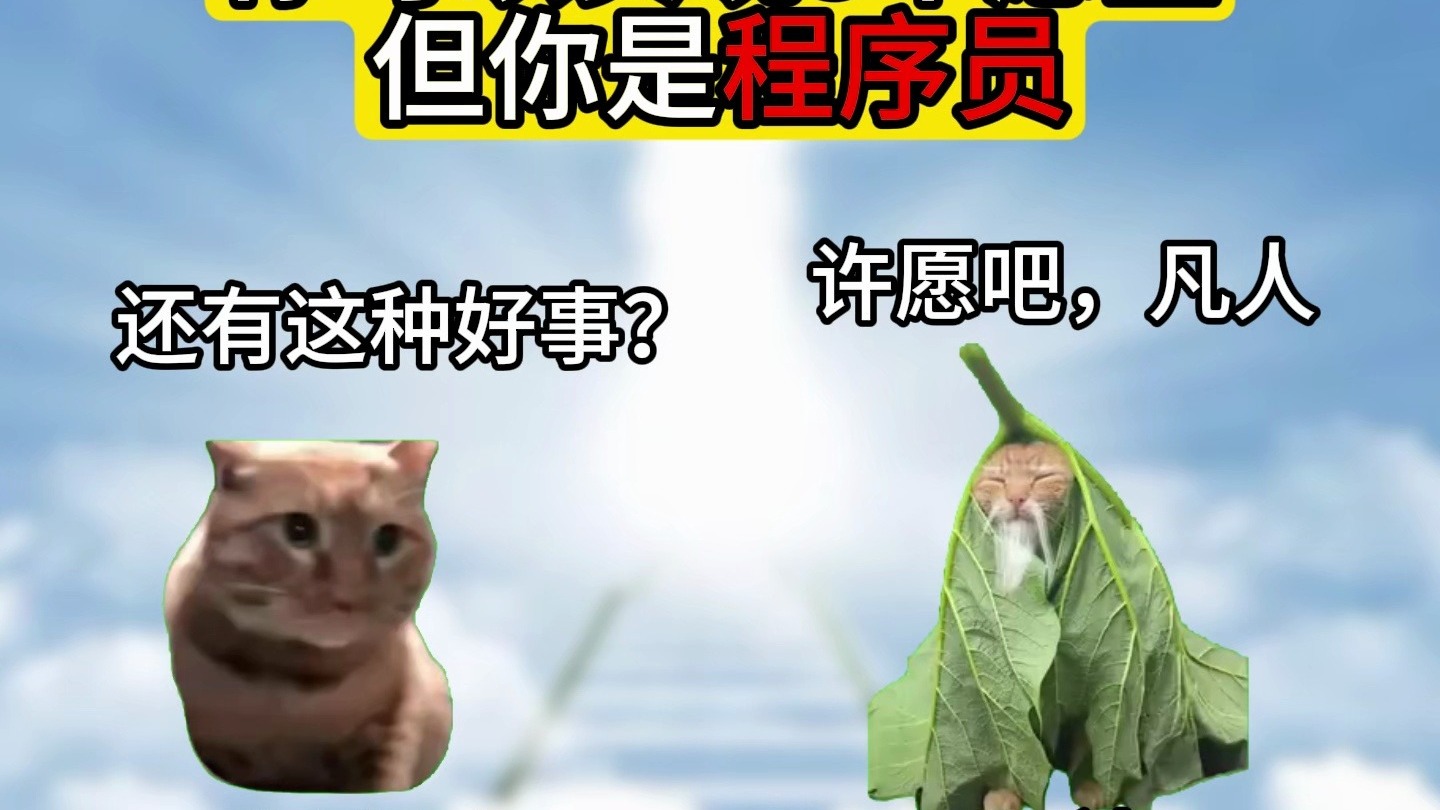 你可以实现3个愿望，但你是程序员