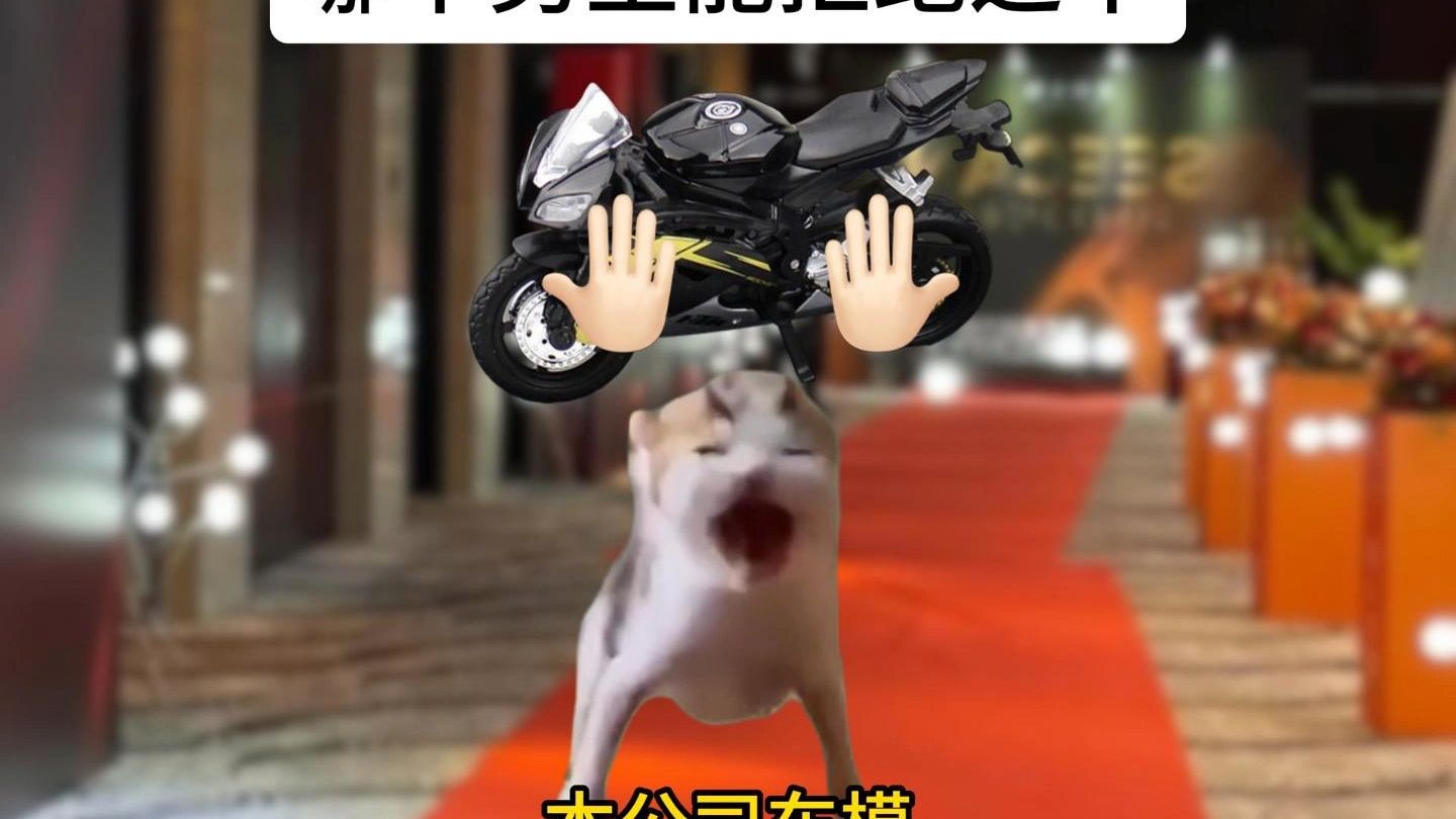力拔山兮气盖世