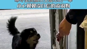 5debd43d2a248543a7e1e9b9573e480619591b16.jpg@280w_158h_1c_100q.jpg