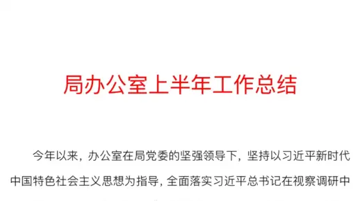 局办公室上半年工作总结