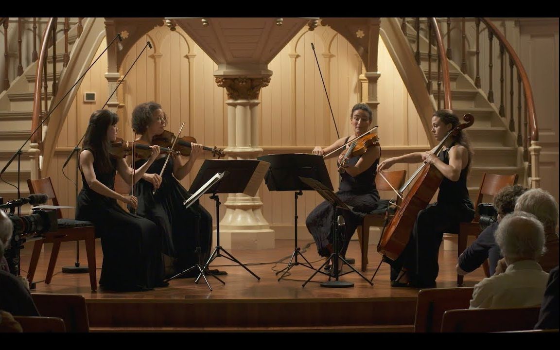 舒曼第一弦乐四重奏schumannstringquartetop41no1goyaquartet