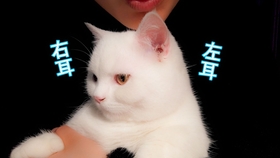 5e0fc6bfcdaf89c050aec98753b919a3fcb5f47e.jpg@280w_158h_1c_100q.jpg