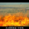 日本少女被中国农民俘虏，央视连播17年！ "紫日  "战争