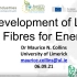 国际会议_Development of lignin fibres for energy