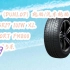 【年货节|福利好礼】邓禄普（DUNLOP）轮胎/汽车轮胎 225/55R17 101W XL SP SPORT FM80
