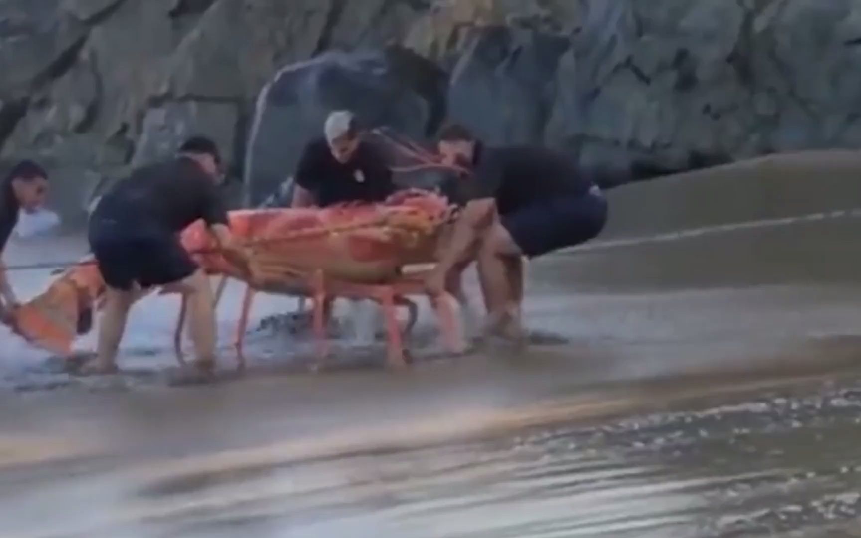 颠覆你想象的巨型龙虾王！濒临灭绝的巨大小龙虾你见过吗？