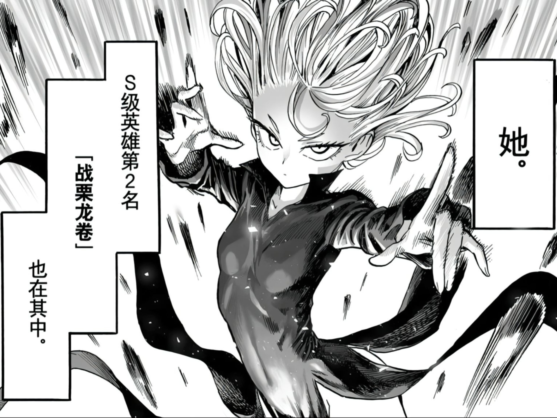 唯一一个拒绝神力，并把神赐者拧成麻花的，战栗的龙卷！