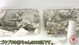5e4a64c63038acb37dc97ef1d36a1772ad870b7d.jpg@280w_158h_1c_100q.jpg