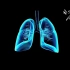肺三维