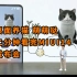 桌面养猫萌萌哒 二分钟看完MIUI14发布会