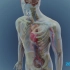 【医学3D】：阿司匹林在人体内是如何发挥作用的？