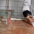 硝酸银溶液的标定以及酱油中氯化钠含量的测定
