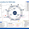 Multi-locus sequence typing (MLST) using QIAGEN CLC Genomics Workbench