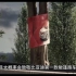 方程豹发了一条宣传片视频，视频结尾树上挂了一张比亚迪S8跑车的海报，寓意致敬比亚迪S8敞篷跑车。比亚迪王传福十五年的跑车