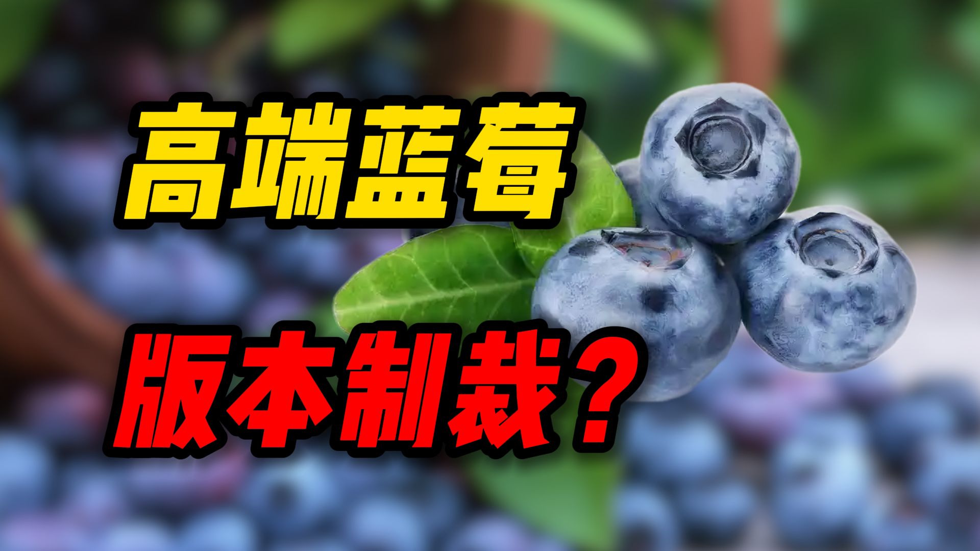 蓝莓遇到了版本制裁？